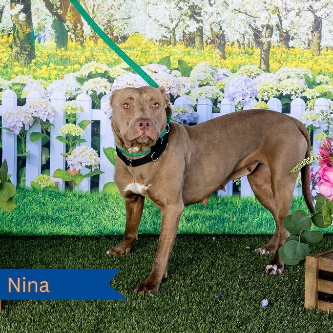 Nina