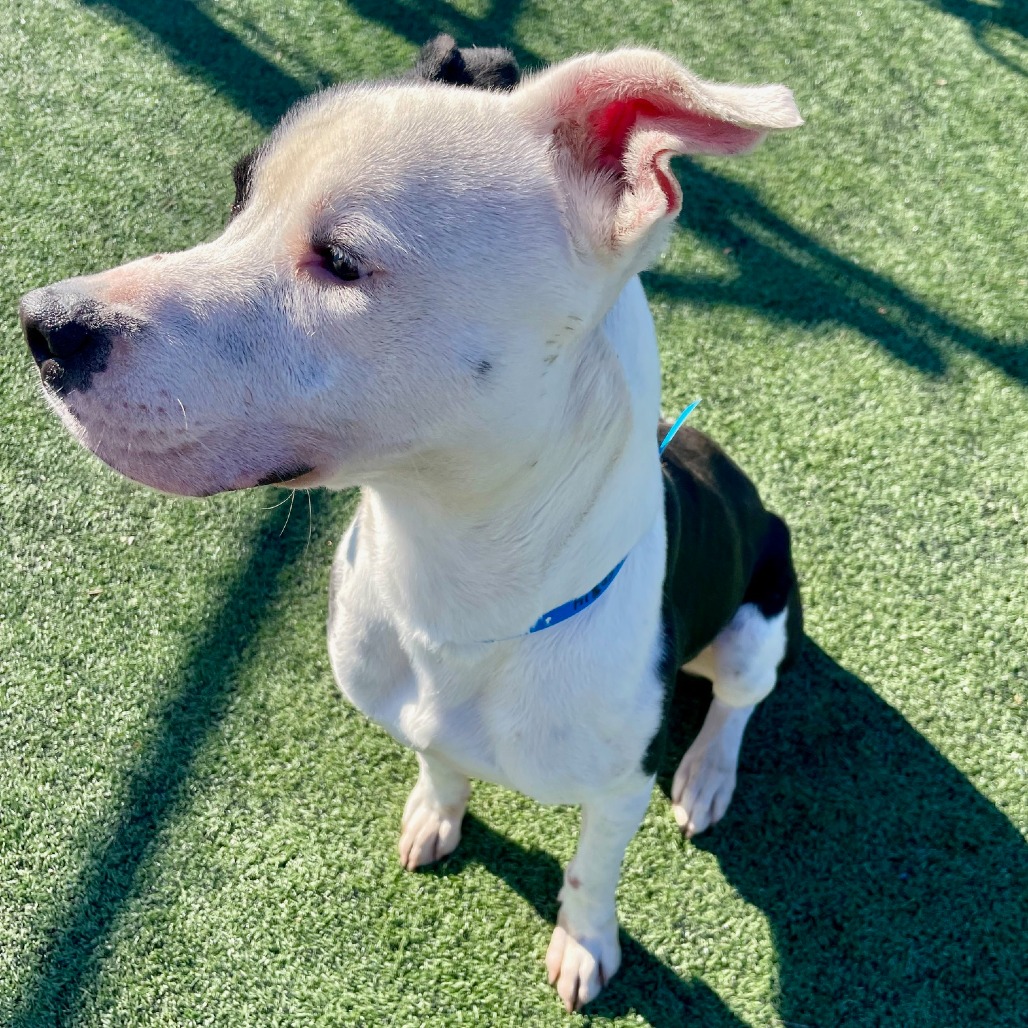 JALEN J — thumbnail 10