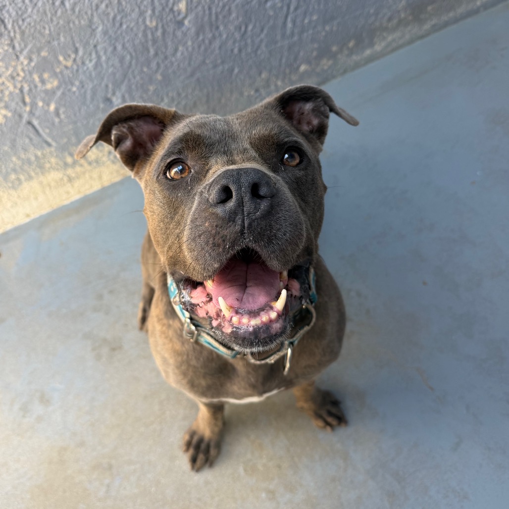 NALA BELL, photo 16