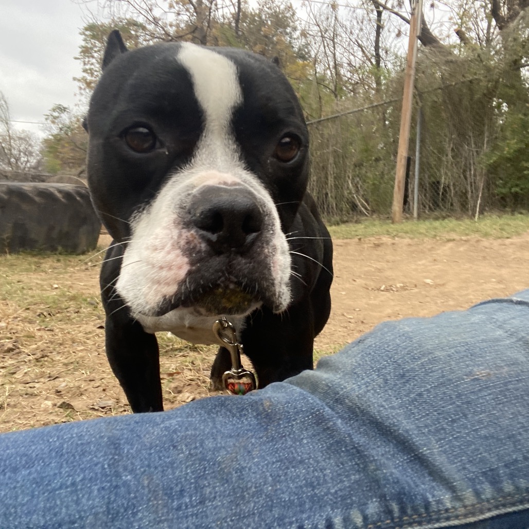 Dorothea — thumbnail 11