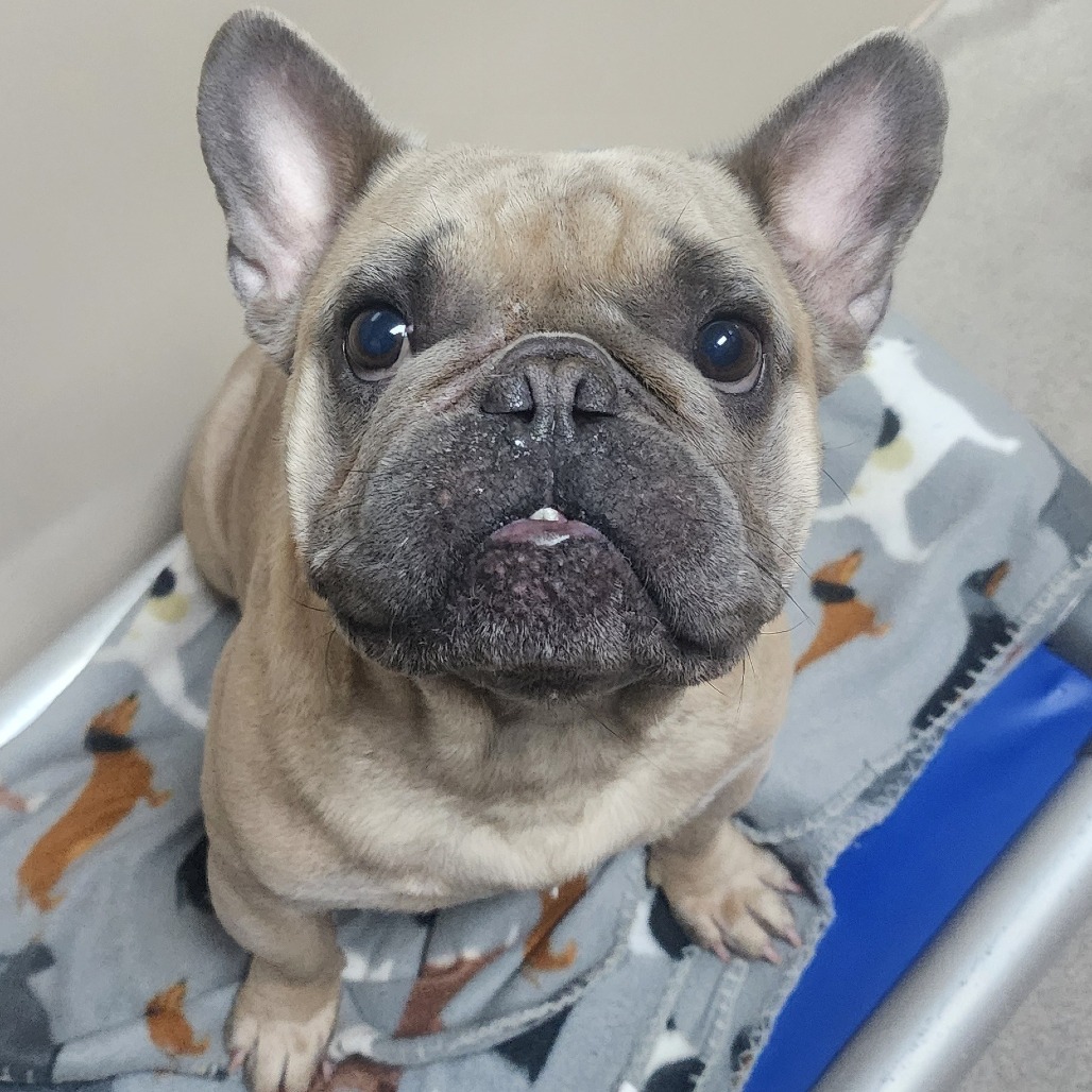 Kennel#7's preview photo
