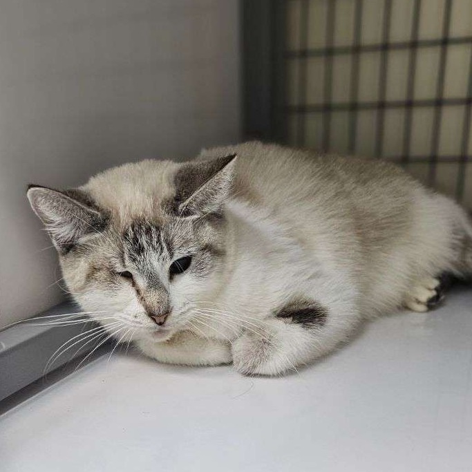 A#49a's preview photo