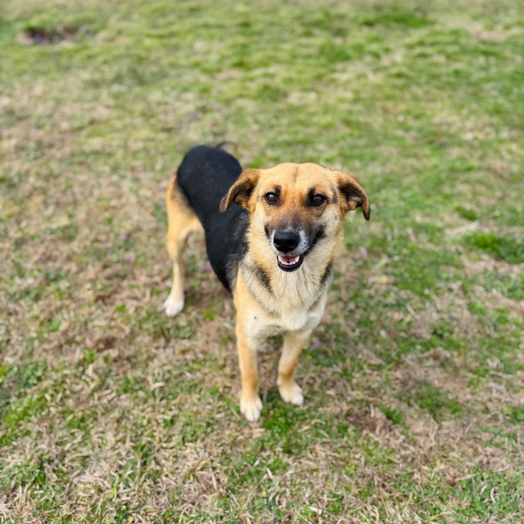 Greenie — thumbnail 2