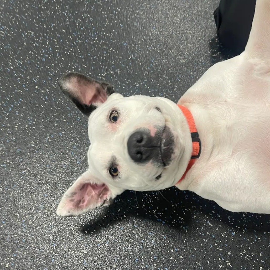 Flaca — thumbnail 9