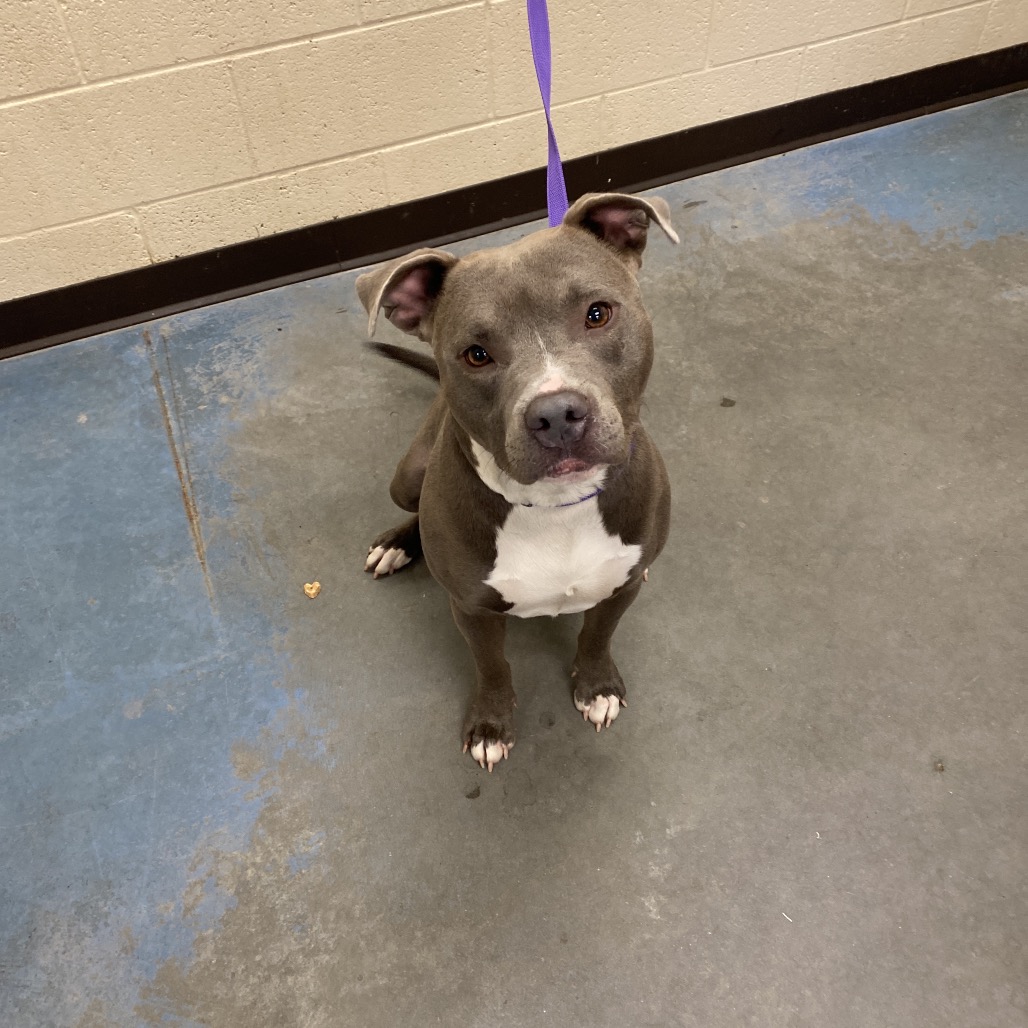 Ghost — thumbnail 3