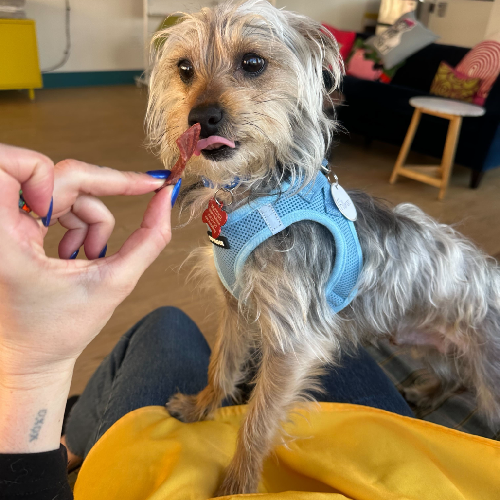 Fillmore 13764 — thumbnail 3