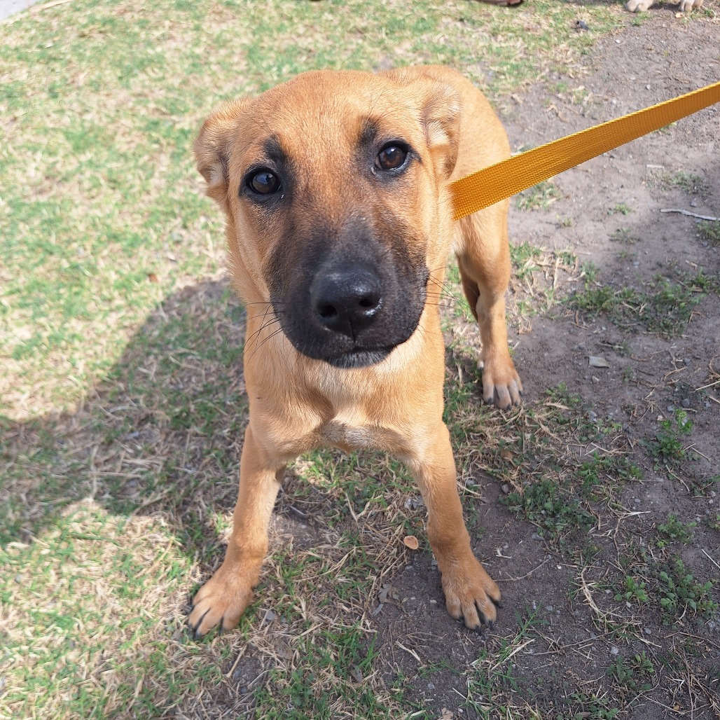 Thing 1 — thumbnail 6