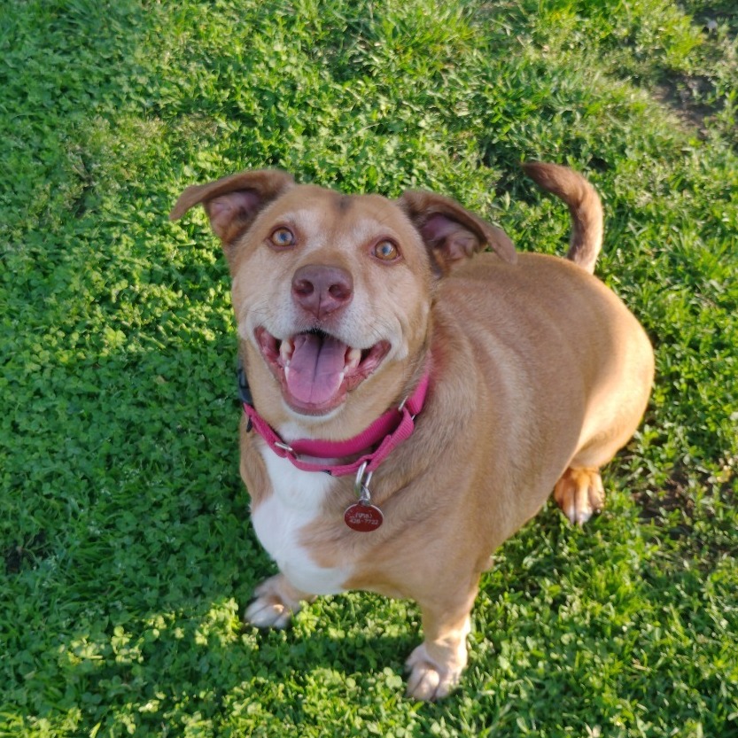Max