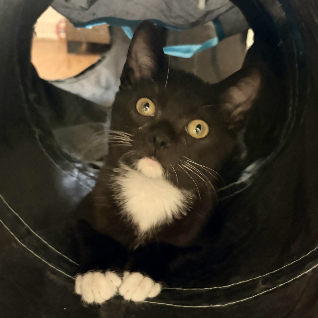Pep