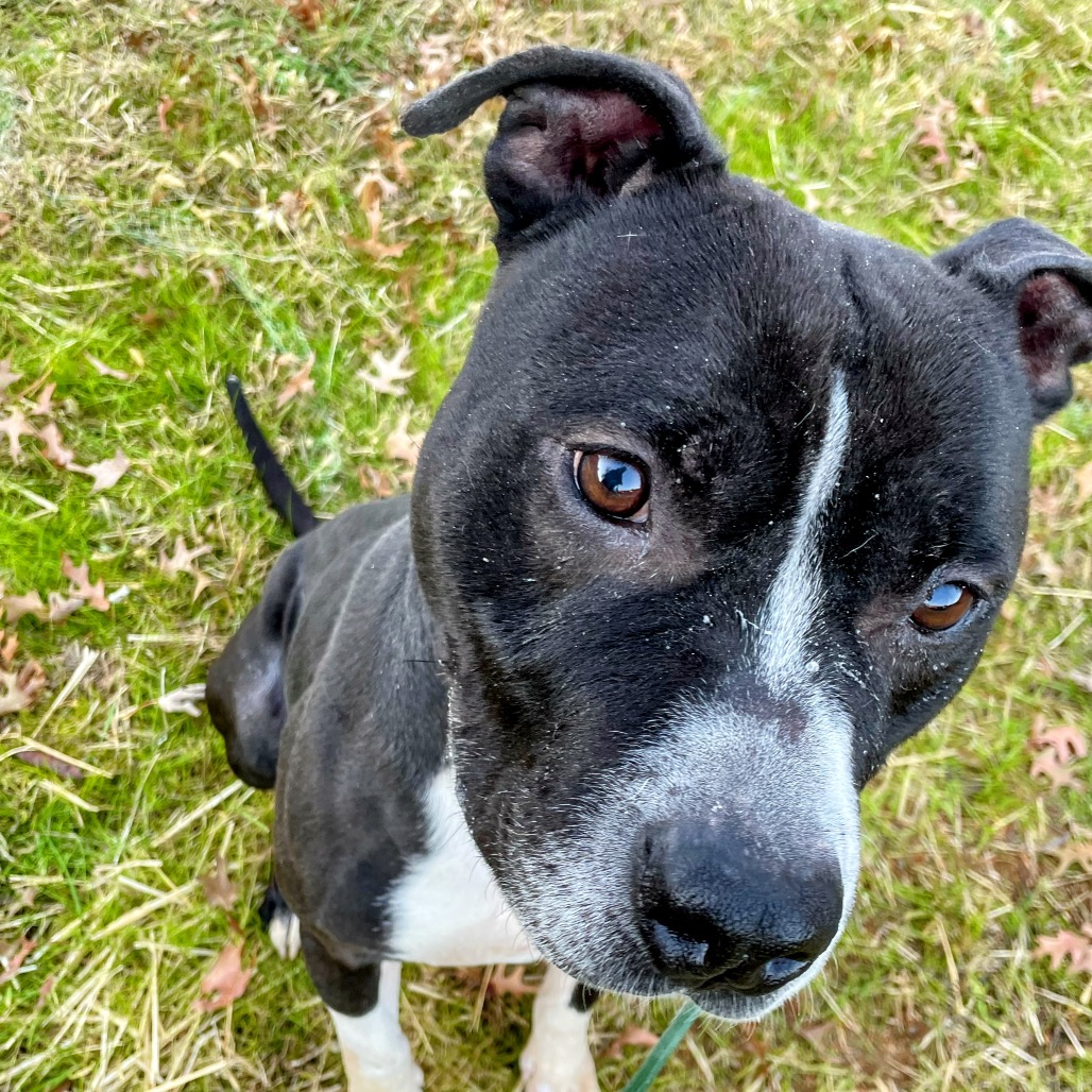 Sebastian — thumbnail 5