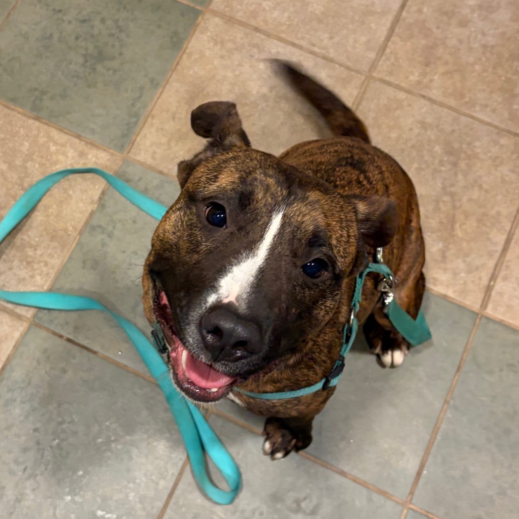 Titus — thumbnail 3