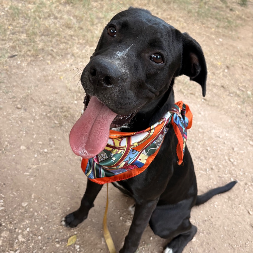 Rak — thumbnail 10