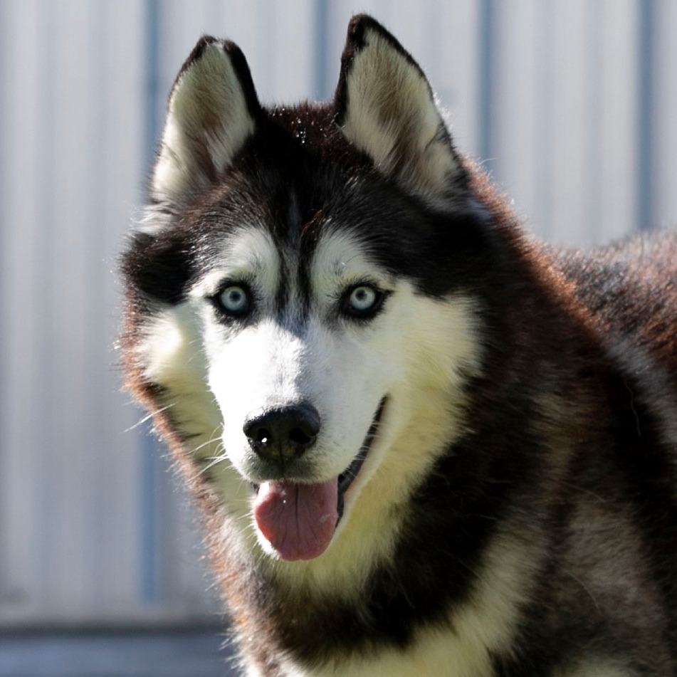 Oliver (F26-09), photo 12