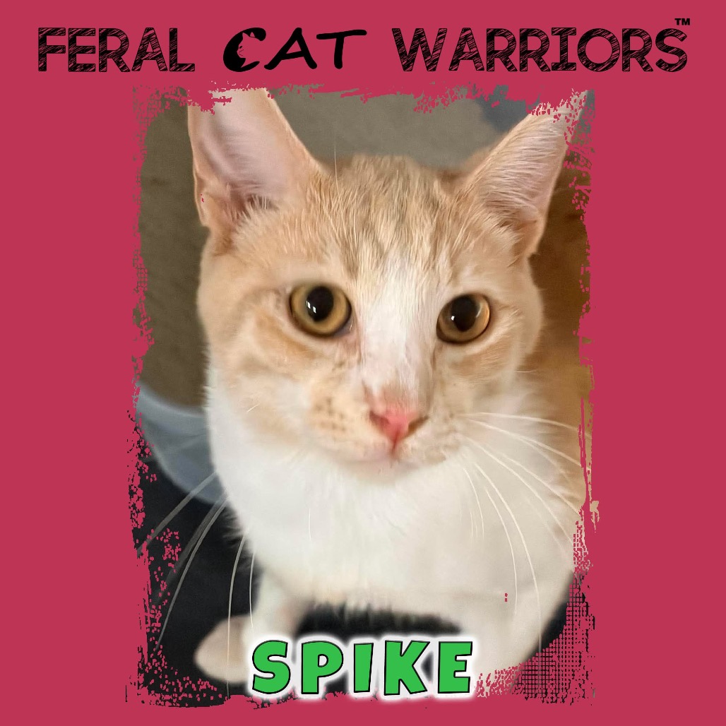 Spike