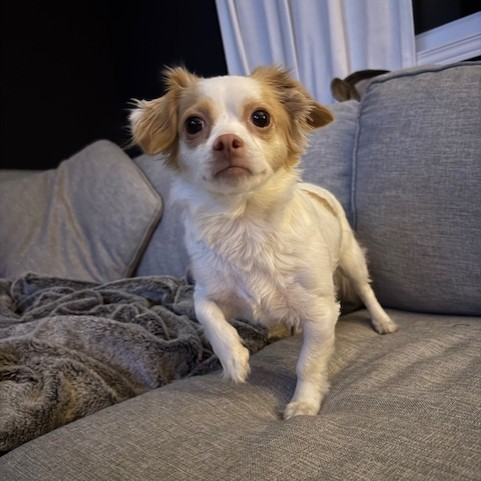 Photo of Millie 4
