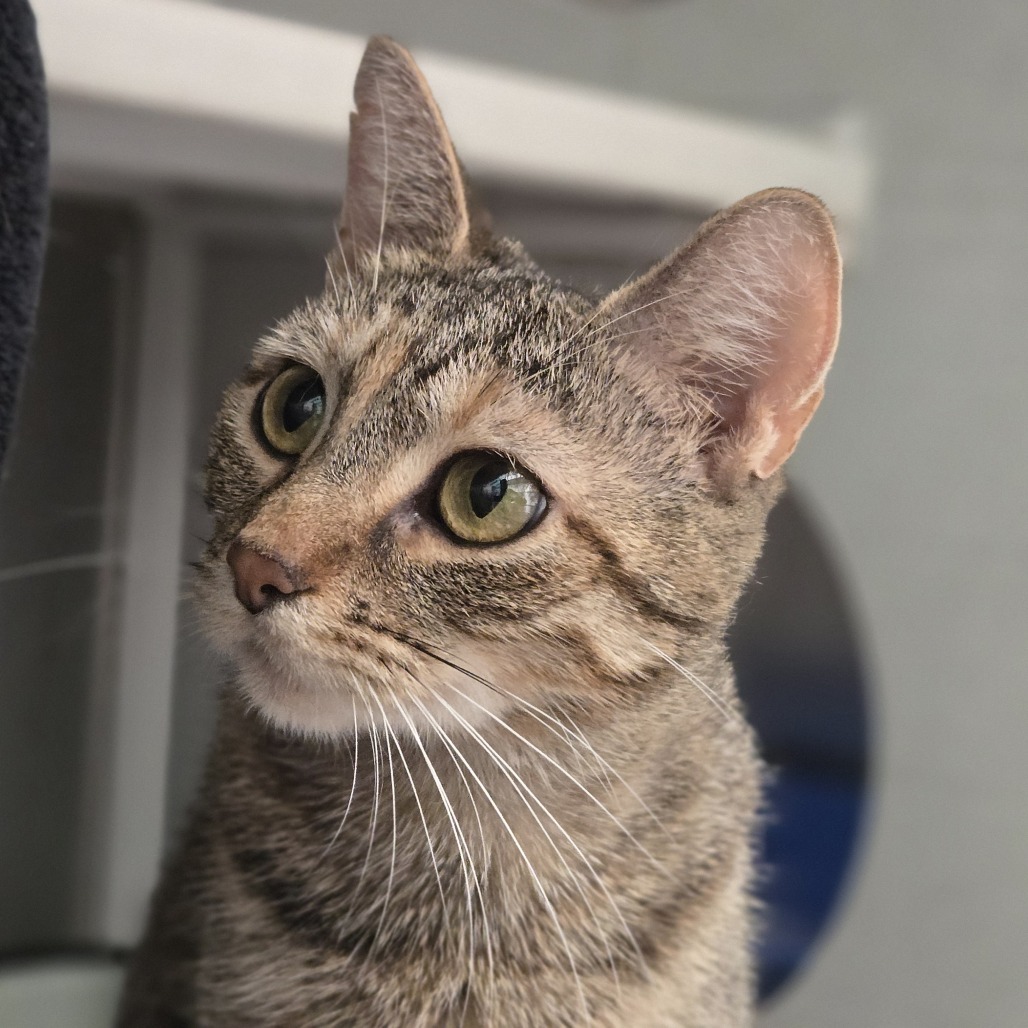 Photo of Lucy 11