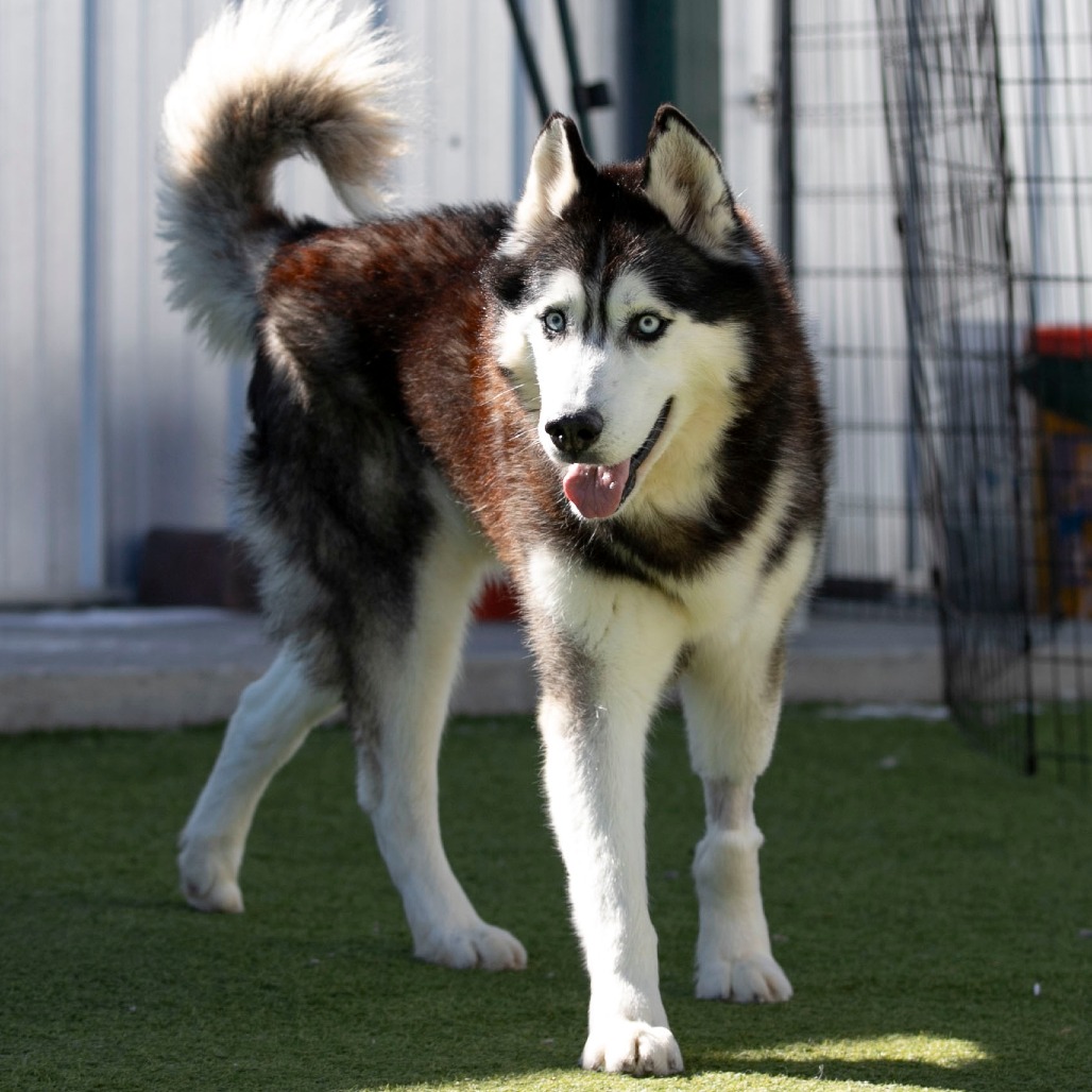 Oliver (F26-09), photo 11