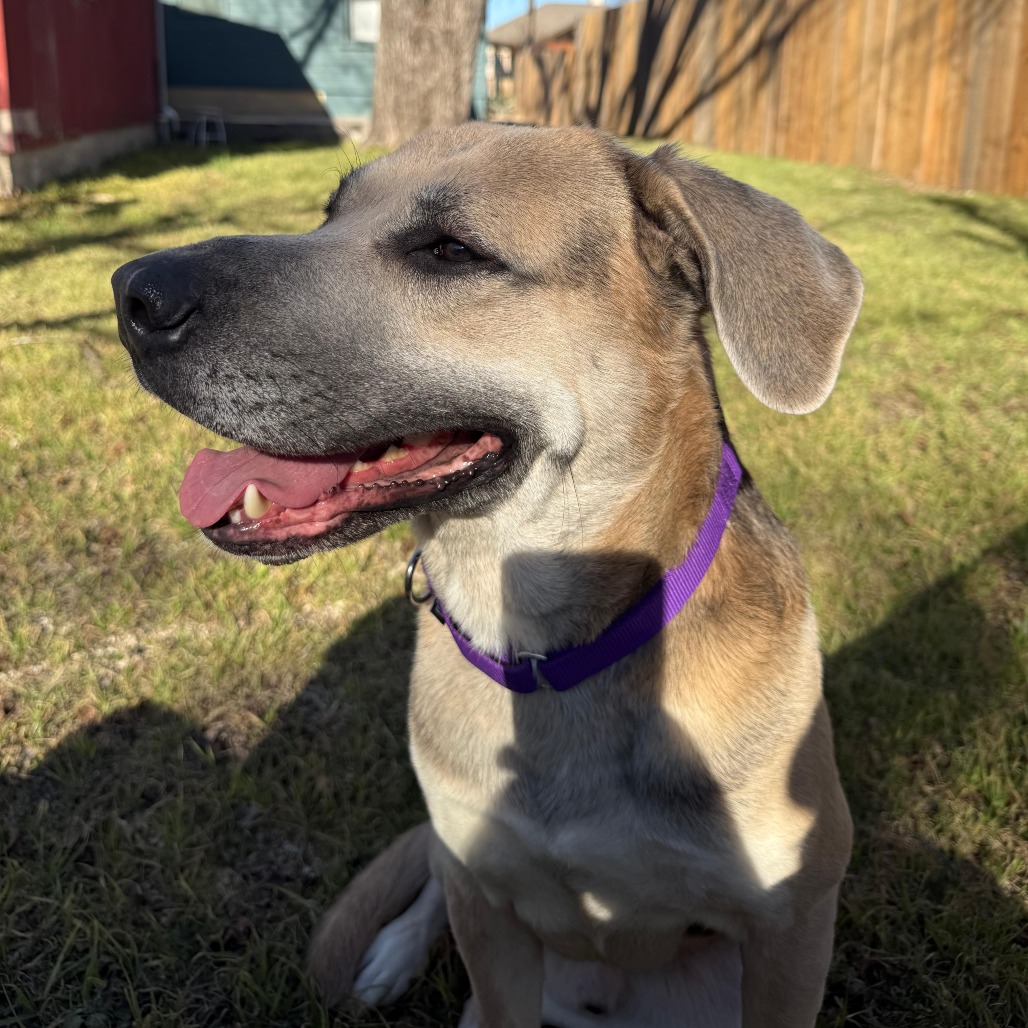 Dan — thumbnail 10