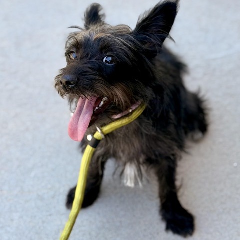Missy photo 4