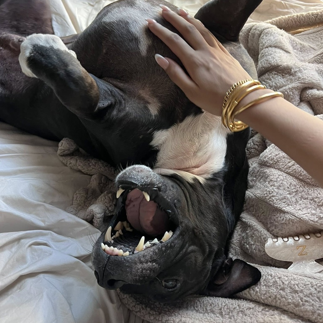 Frank, photo 8