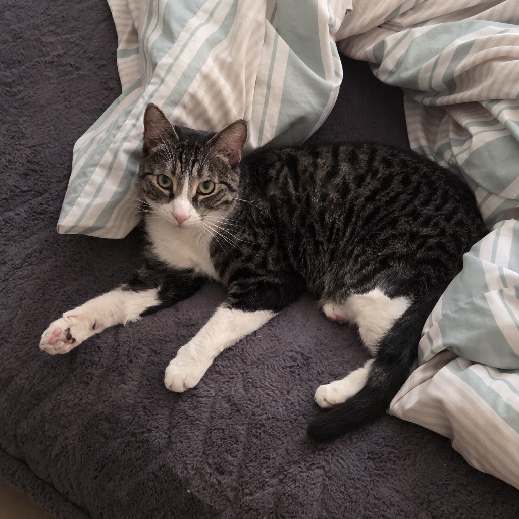 Carl, photo 14