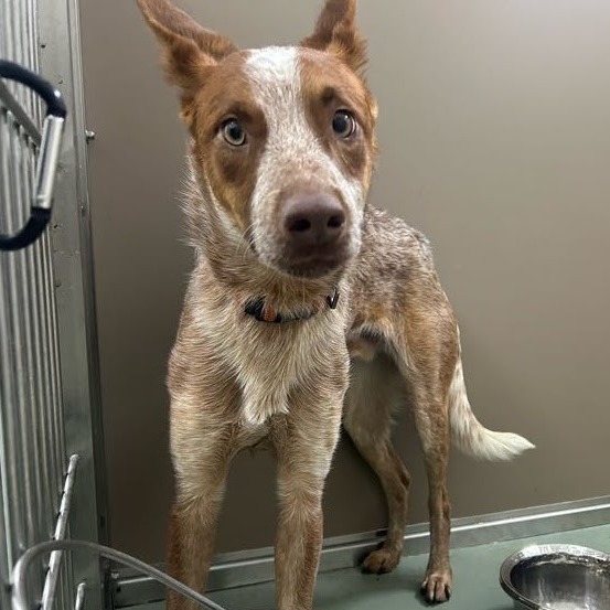 Cash — thumbnail 3