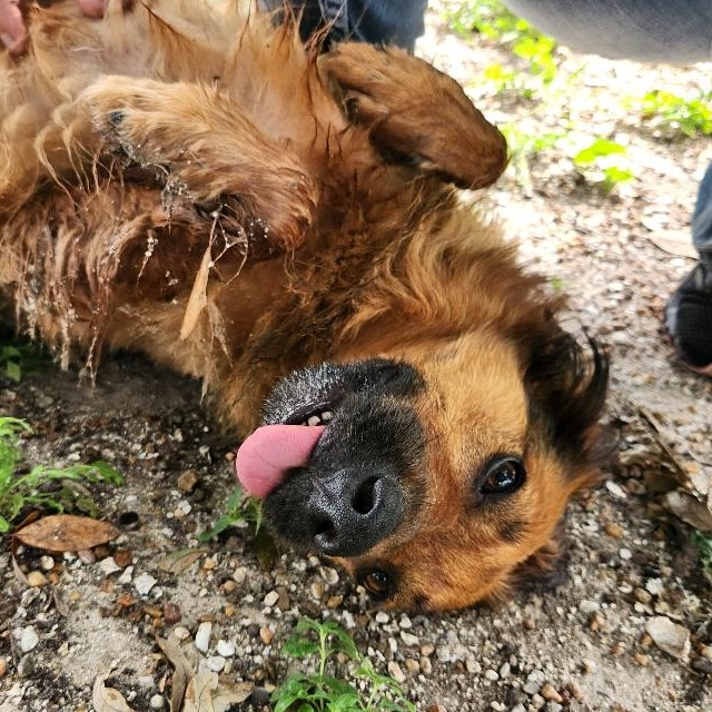 Bergita photo 4