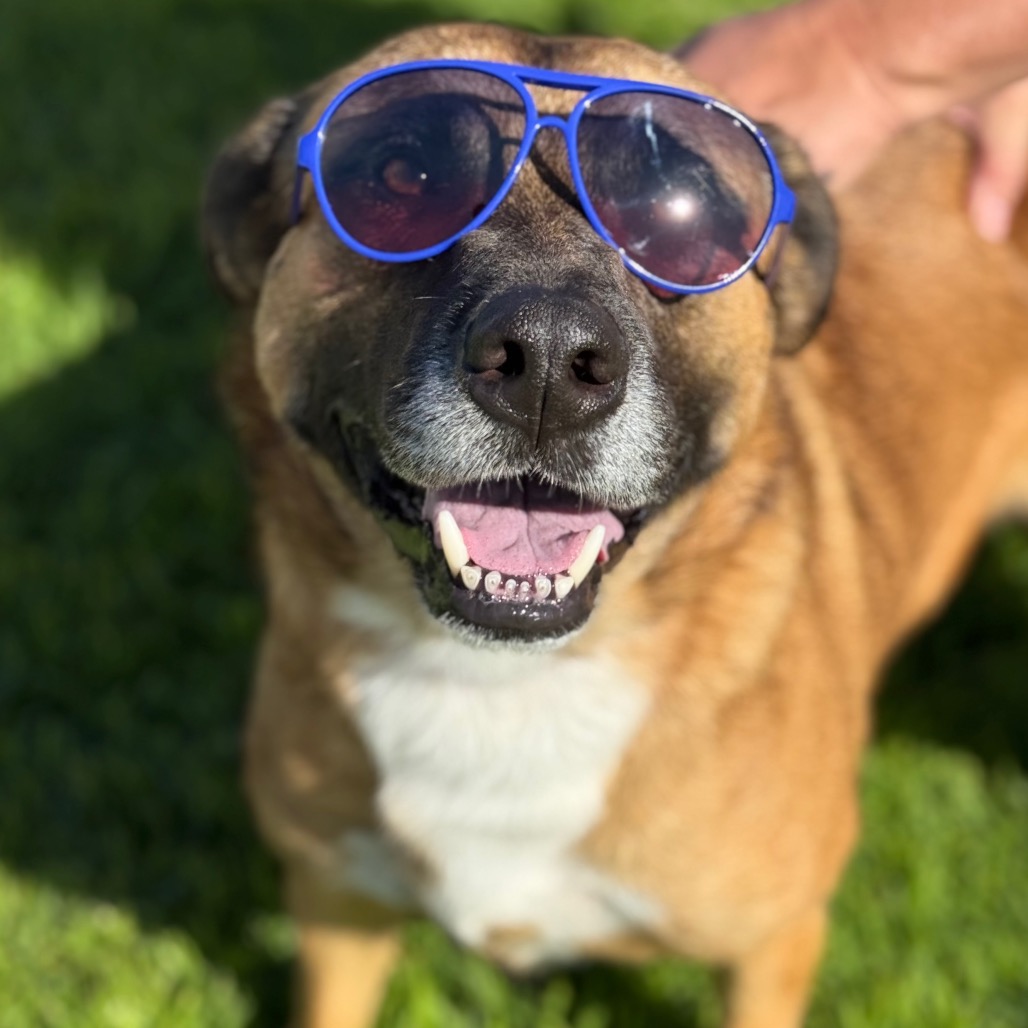 Bubz, photo 24