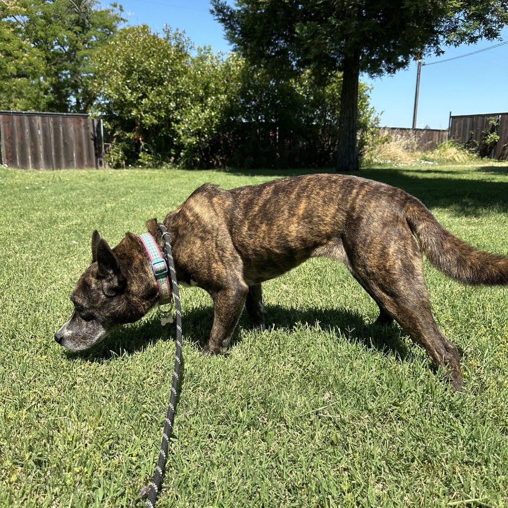 QUINCY — thumbnail 5