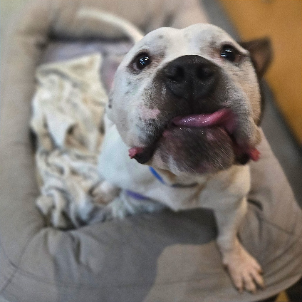 Low Rida — thumbnail 3