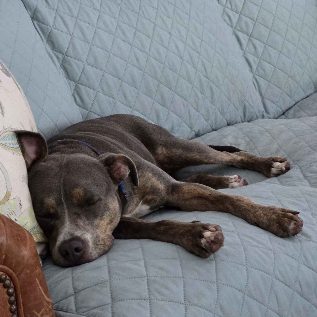Zoe, photo 5
