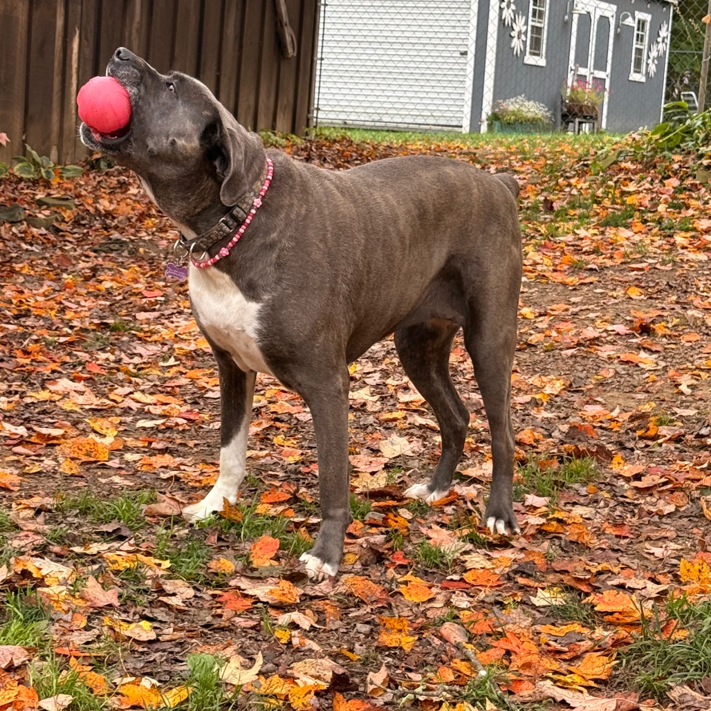 Big Luna, photo 27