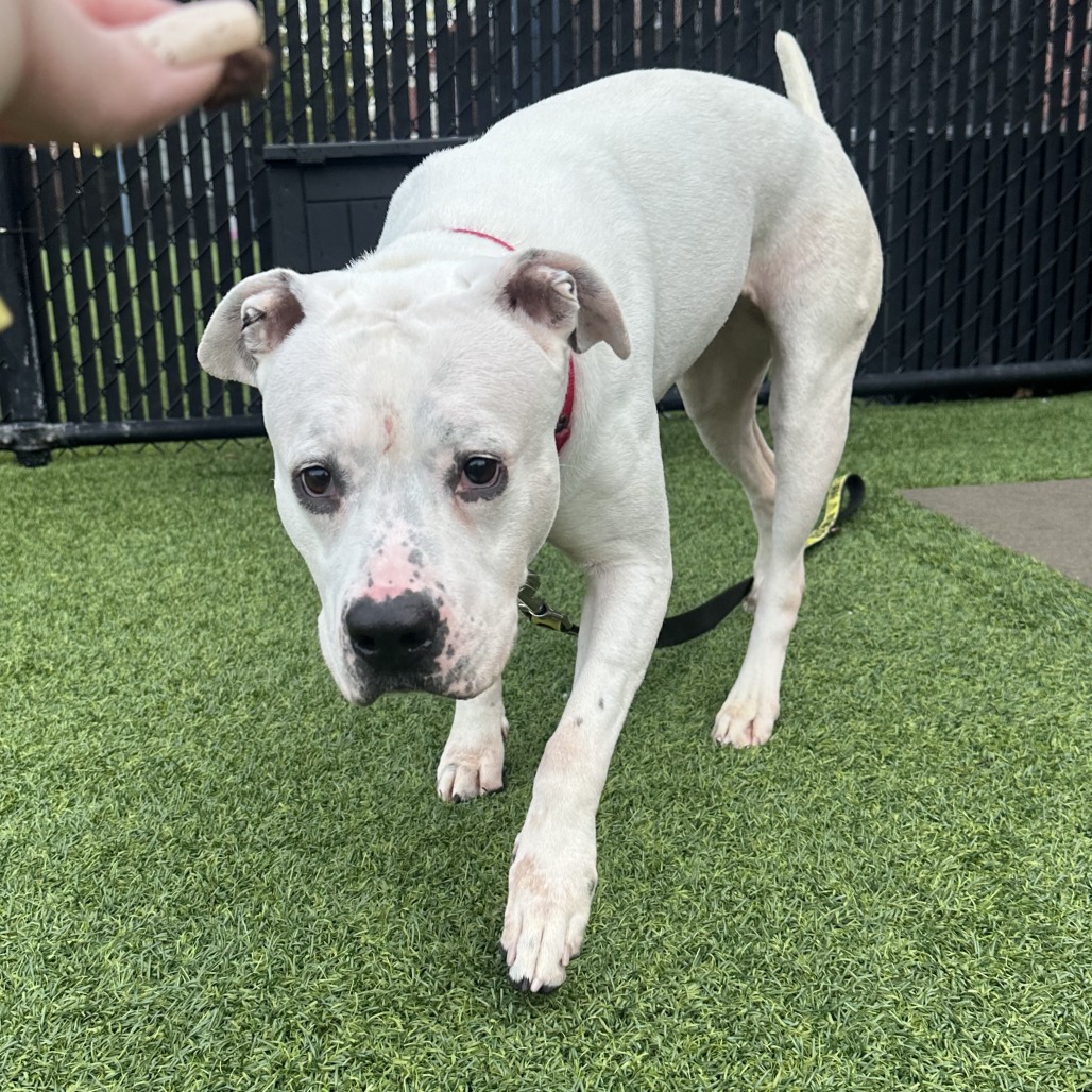 Photo of Betty White 8