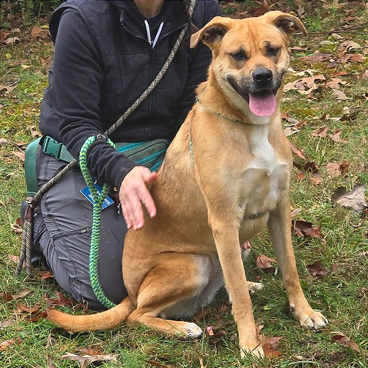 May May — thumbnail 5