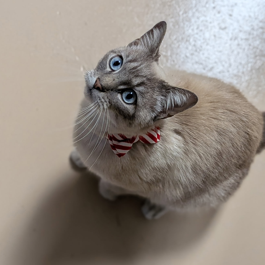 Waldo