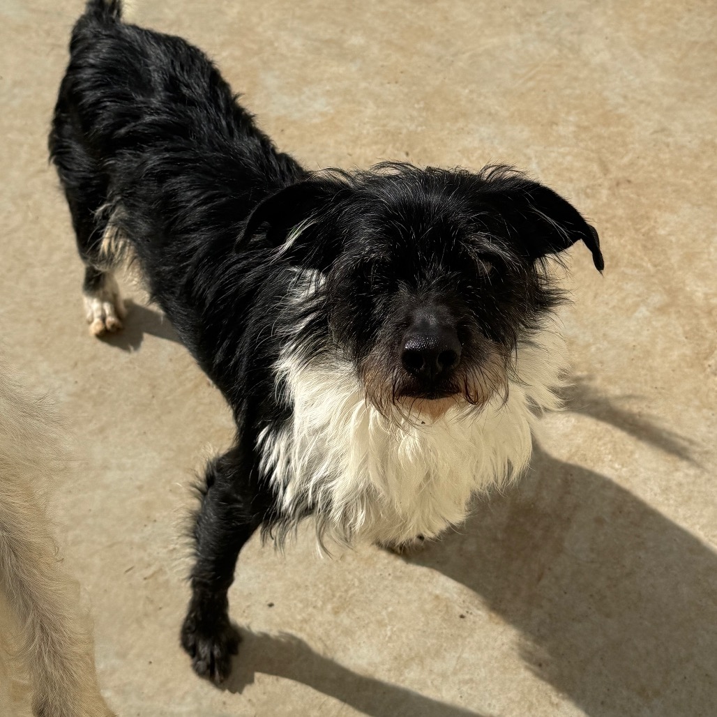 FINNEGAN — thumbnail 5