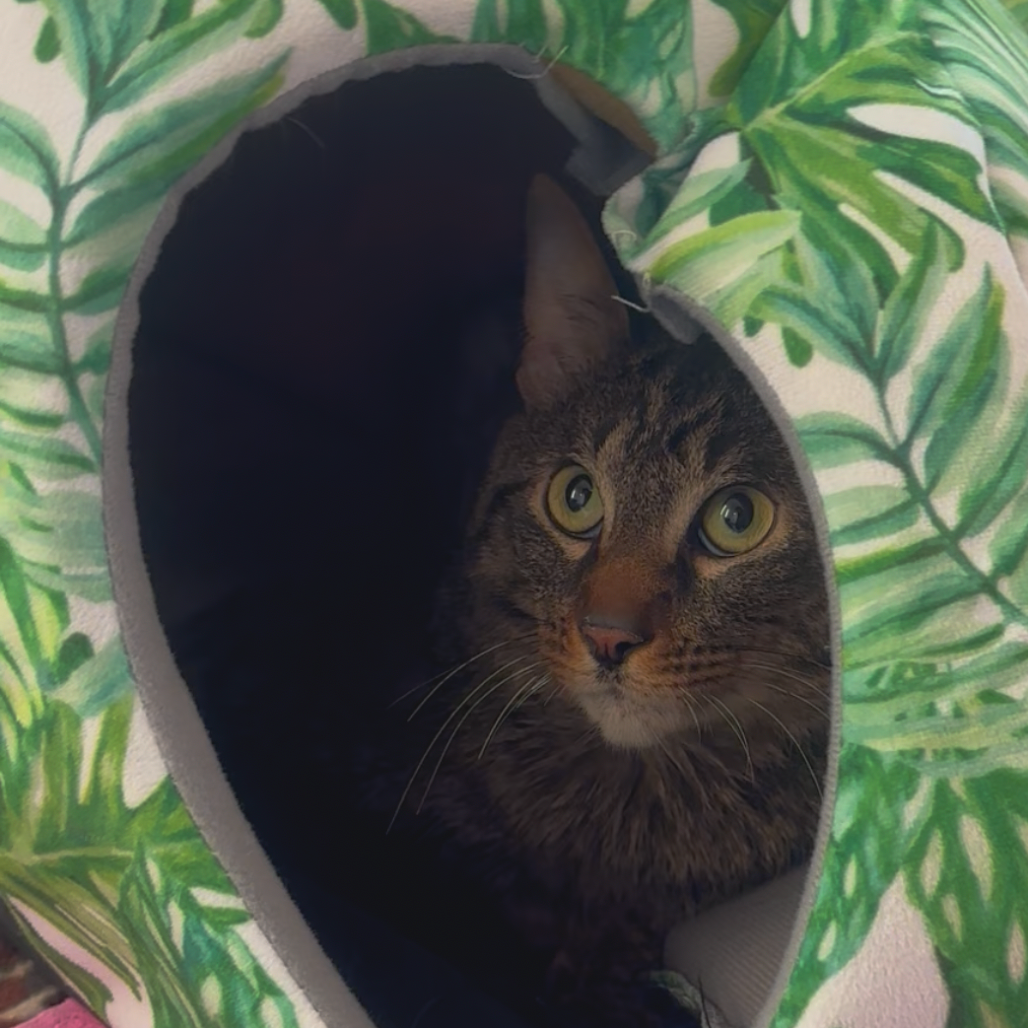 Miro — thumbnail 4