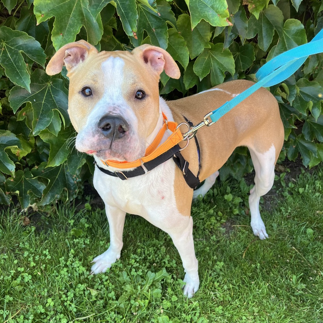 Photo of Caramel 14