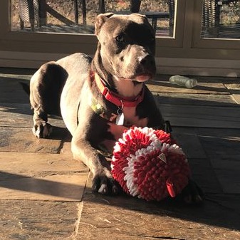 Smithereens — thumbnail 10