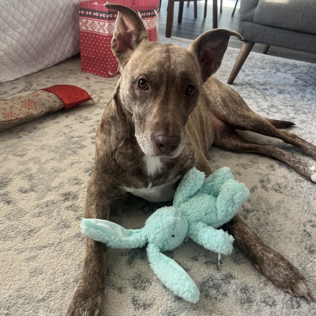 Dixie Loo, photo 13