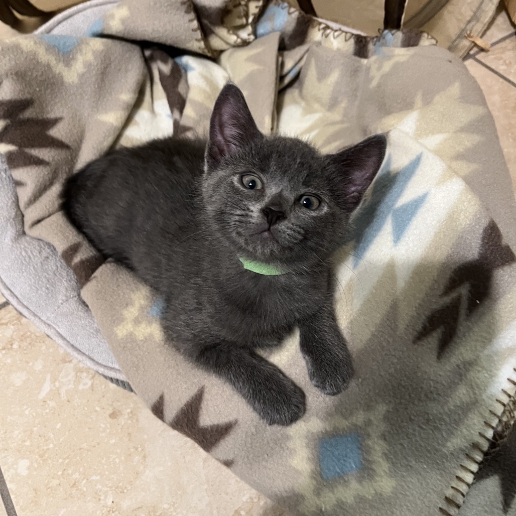 Eddie, photo 3