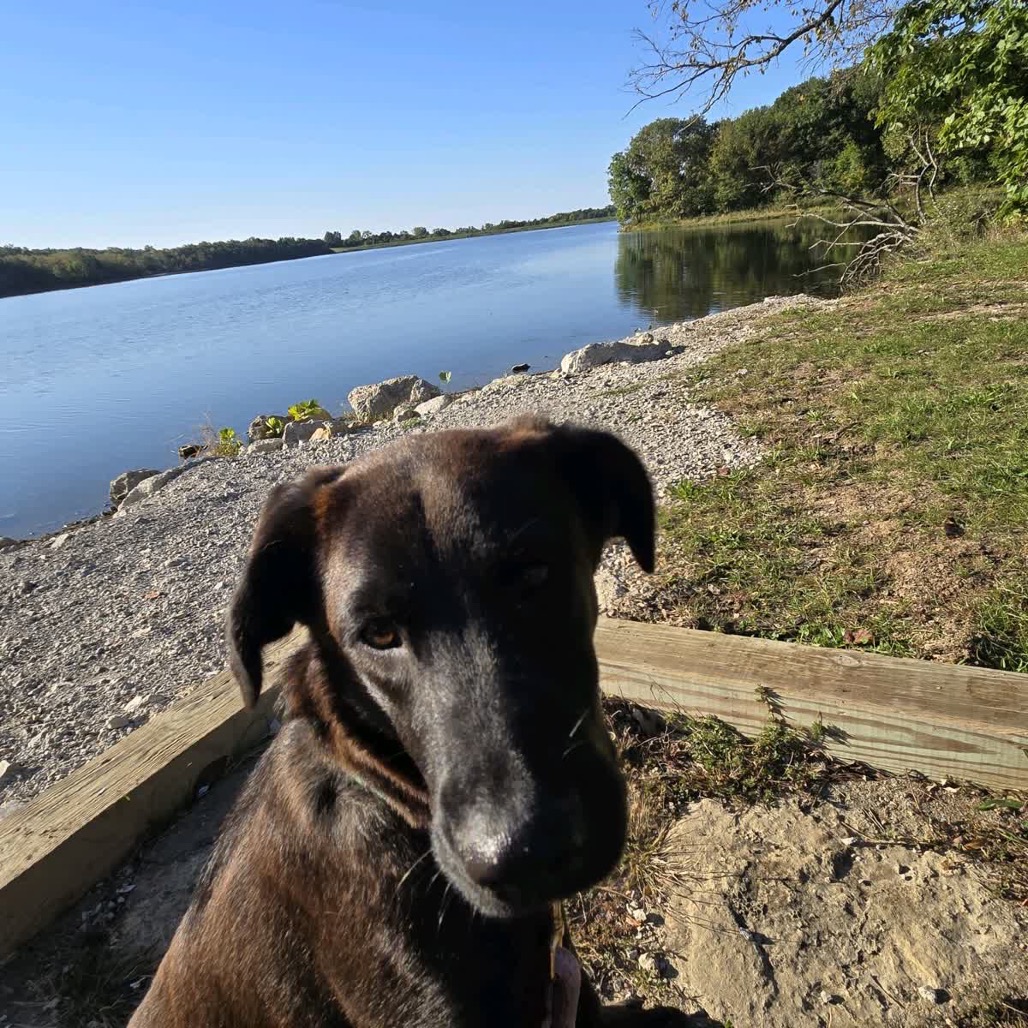 Brooks, photo 11