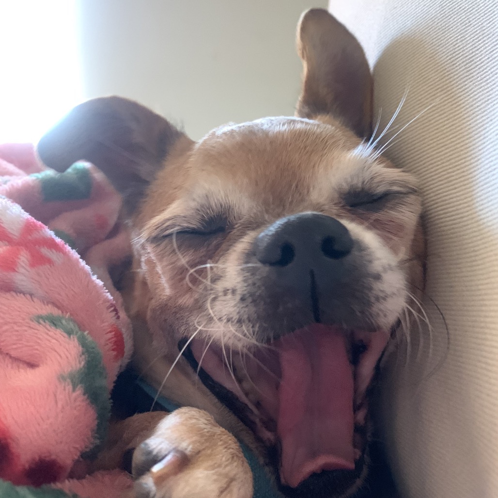 Cowboy Kelvin — thumbnail 5