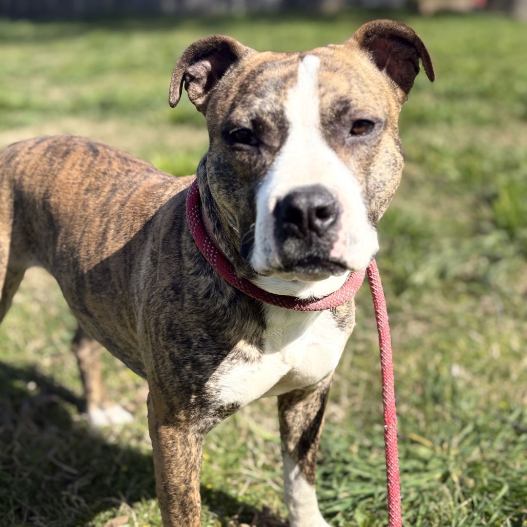 KATE — thumbnail 2