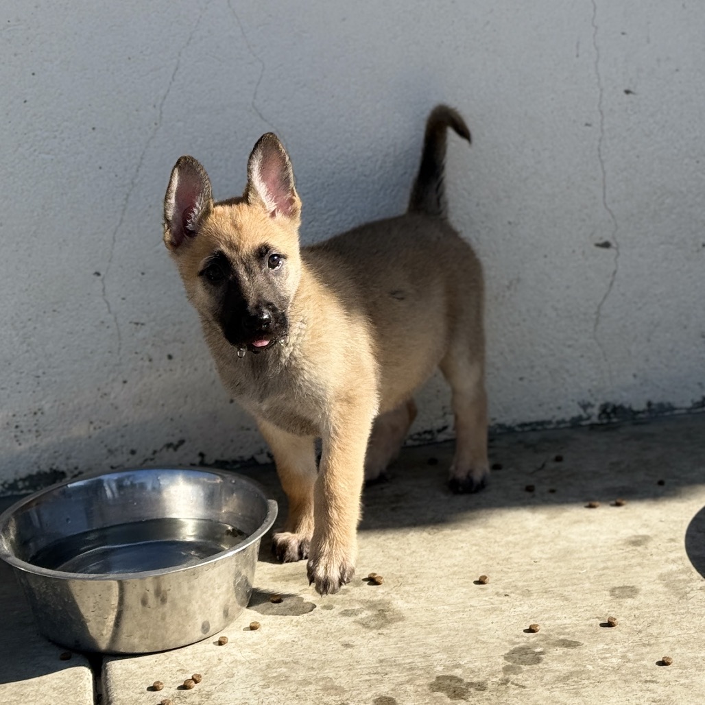 Tsireya — thumbnail 2