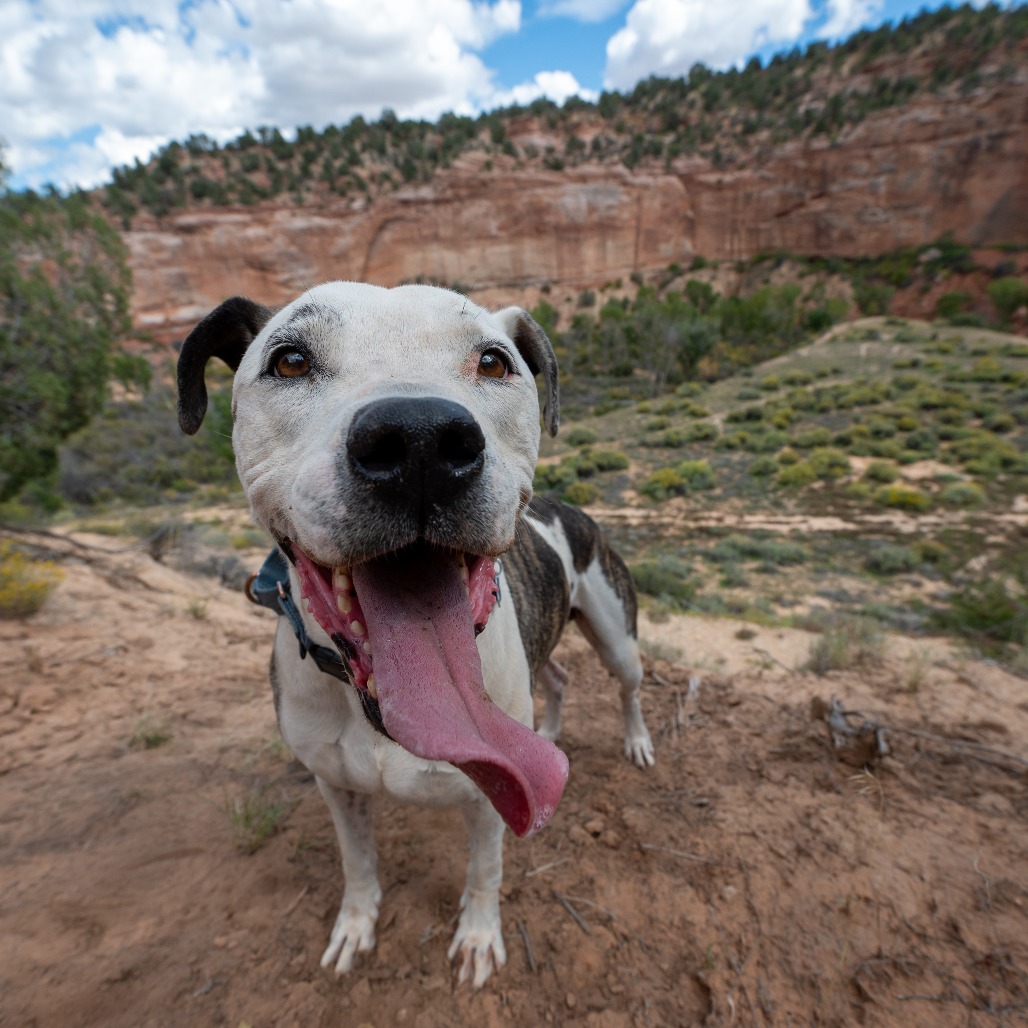 Rudy, photo 33