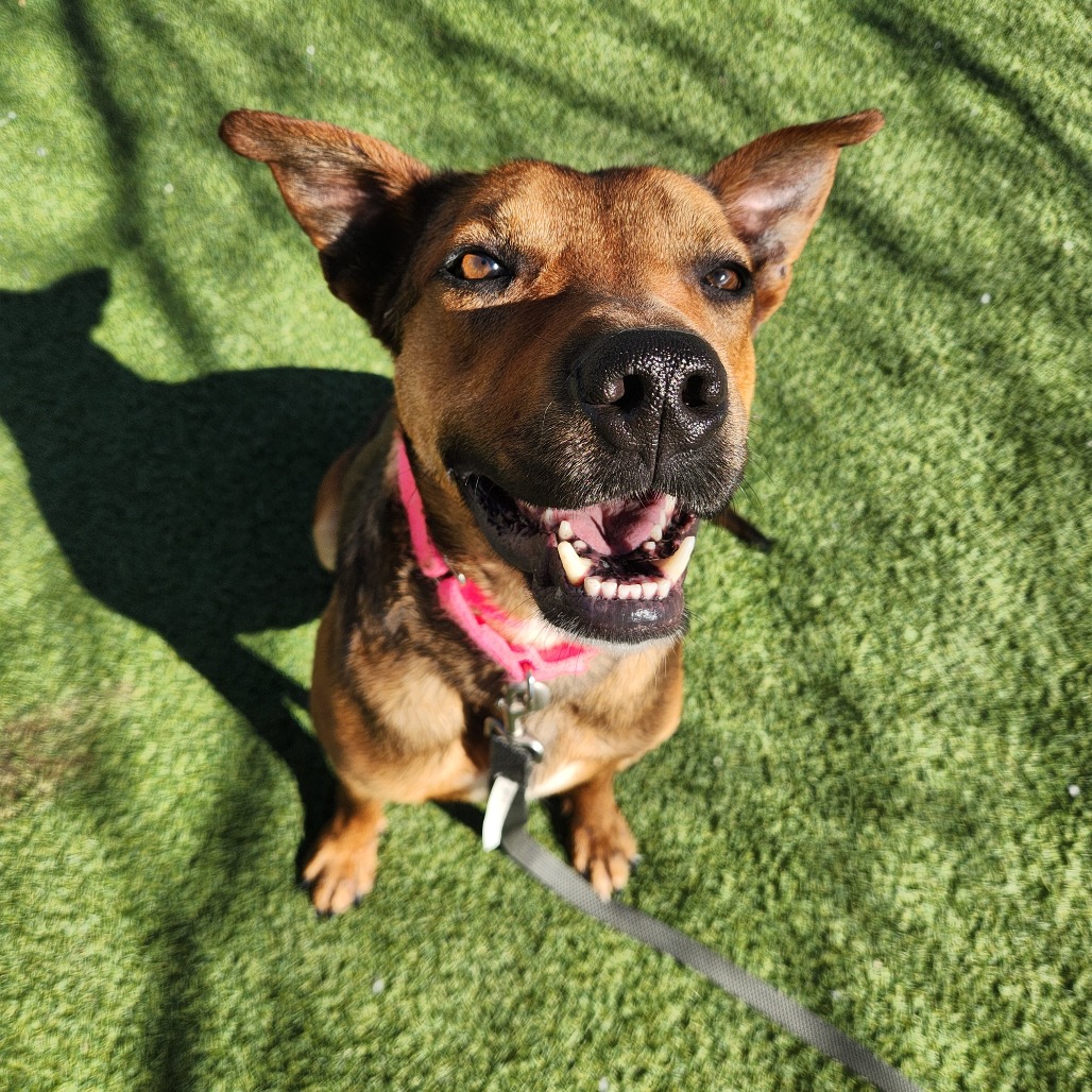 Mr. Sideways — thumbnail 5