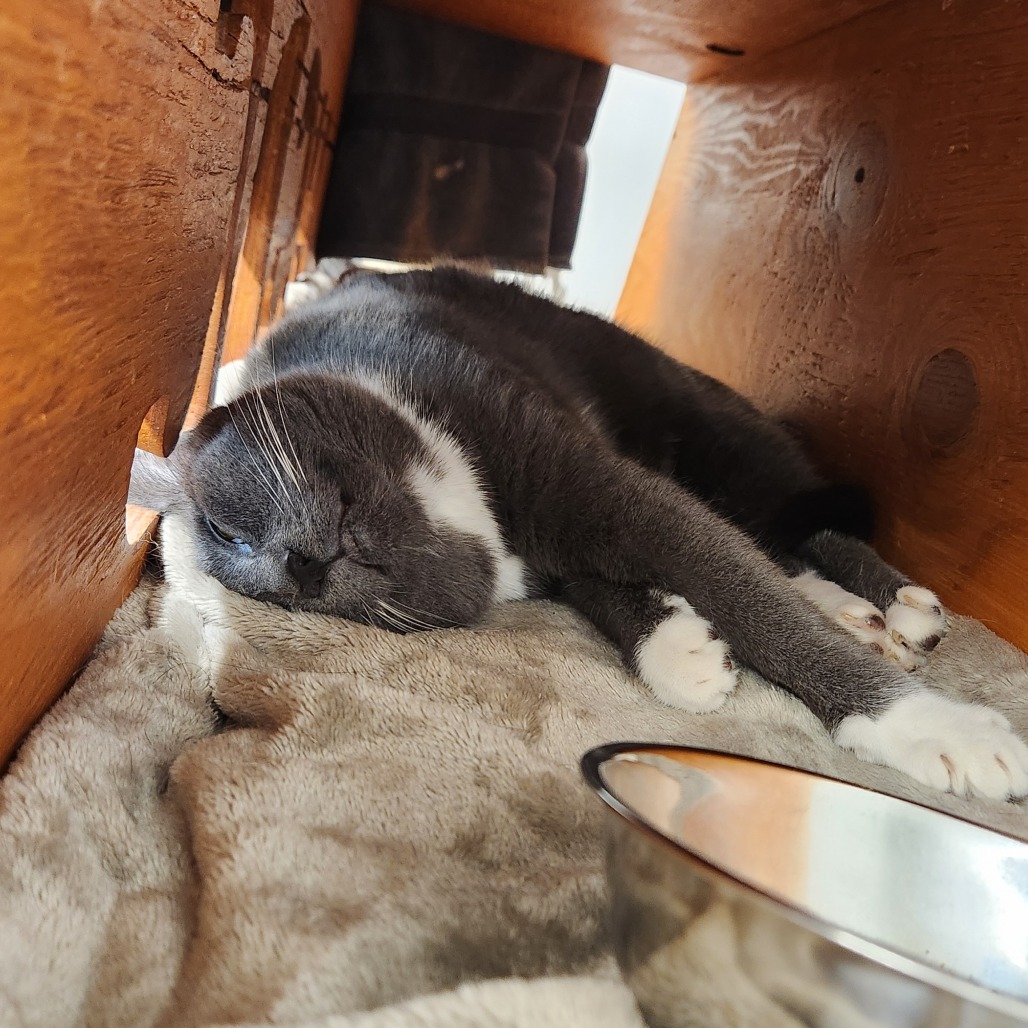 Ted, photo 2
