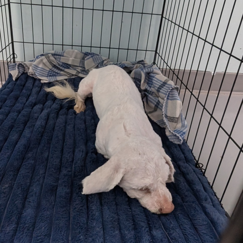 CLOUD — thumbnail 2