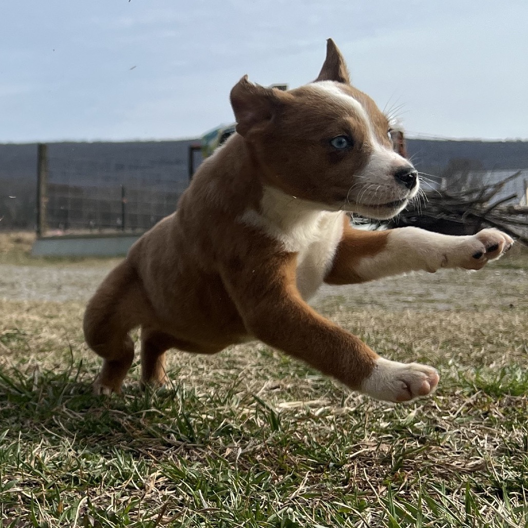 Maysilee — thumbnail 3